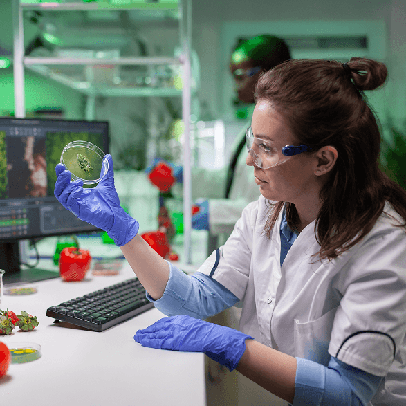 Biosimilars research