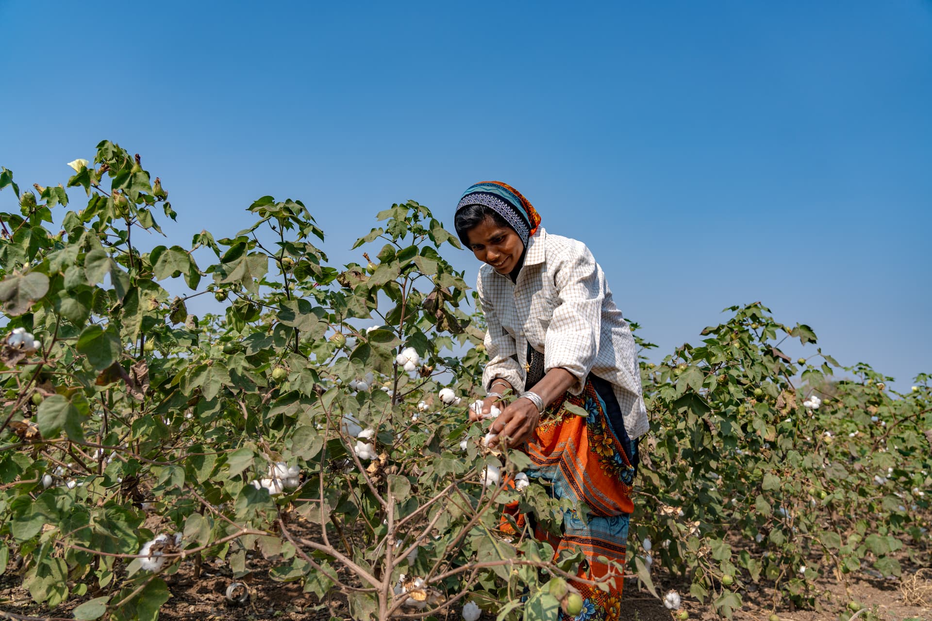 Natural Resource Management